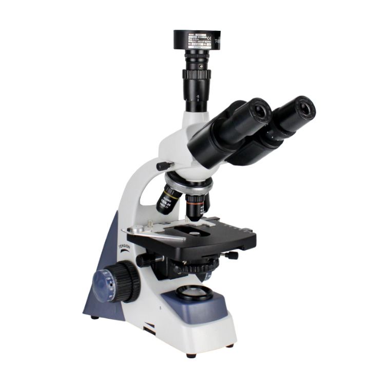 XSP500型系列生物kaiyun.开云电子